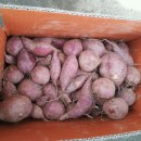 여주-0589 Daum카페