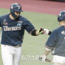 나성범 카카오 검색결과