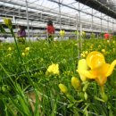 해밀농장 이미지