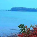 뜰앞바다 이미지