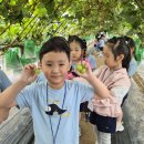 이레농장 2 이미지