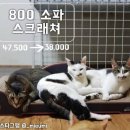 오케이펫
