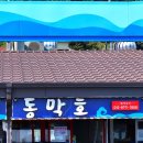 동막호