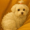 차별하는 챗 GPT 지브리 스타일 ㅎㅎ 이미지