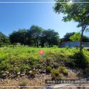 고성부동산중개사무소 이미지