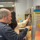 다정매점 | 미국 중학교 매점 봉사 체험기｜영어 못해도 OK? 부모가 왜 참여해야 할까