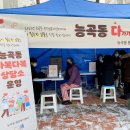 다복다복 이미지