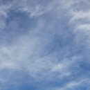 별립산농장 이미지