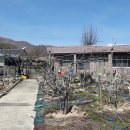 함양(통영) 이미지