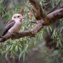 우리들노인요양원 이미지