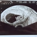 마이더스산부인과의원 이미지