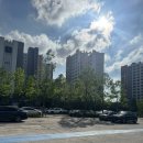 푸른산수목원 | 🌲도심 속 힐링 산책&amp;기찻길 포토존📷구로 푸른 수목원 후기 [입장료 무료, 주차장 정보 포함]