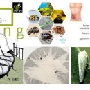 서구-02-76 이미지