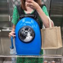 뽀삐살롱 이미지