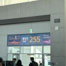 908 | 2025 파리런던 여행 대한항공 KE901/KE908 탑승후기 특별기내식(과일식, 저자극식)