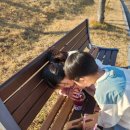 모전공원(놀이터) 이미지