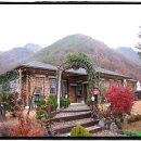 절골민박 이미지