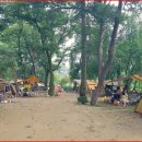 피노키오 자연휴양림 야영장 이미지