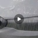 효자손세차 이미지