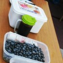 신계농장 이미지