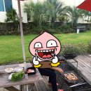 제주파인비치 카라반 이미지