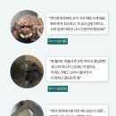 포쉬7