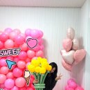 파티멜리시 이미지