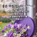 영시