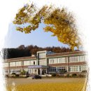 광시중학교 이미지