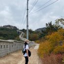 도심코스 | 인왕산등산 초보도 가기 좋은 서울 도심 등산코스 다녀온 후기/서인추환영/서이추