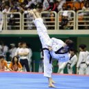 예전태권도 이미지