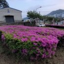 덕계성심병원