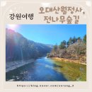 진부중학교 | [소랑이부부♡국내여행] 강원여행 강릉 홍천 평창 오대산 월정사 전나무숲 산책하기~!(입장료, 주차요금)