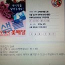 대한민국 우체국 맞나…“엽서에 독도 사진 넣으면 못보내” 이미지