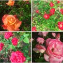 푸름공인중개사사무소 이미지