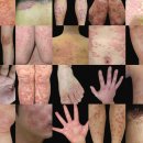 세찬한방병원 이미지