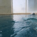 (주)스위스키즈베이 네이버블로그