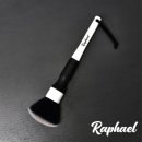 라파엘1 이미지