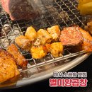 미사 강변북로 | 한 점 한 점이 미쳤던 미사 맛집 별미양곱창 방문기 특양/홍대창/대창/소곱창