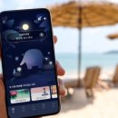 코끼리셀프 이미지