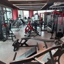 디나휘트니스 이미지