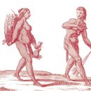 북부유전자 이미지