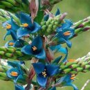 천상에서 이미지