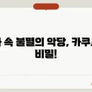 쿠스 이미지