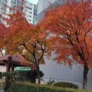 천변3호 이미지