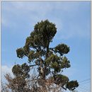 탄천면사무소 이미지