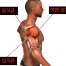 변화의 시작 바른 몸 펴기 생활운동 | 팔굽혀펴기를 꾸준히 하면 생기는 변화와 효과