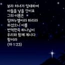 디딤돌교회