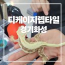 파충류샵 렙타일스테이션 | 디케이지렙타일 파충류샵 크레스티드케코 도마뱀분양후기