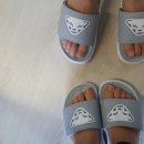 다이나핏청주
